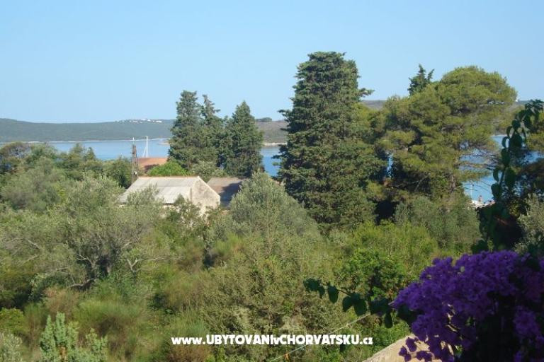 Apartamenty Branko Vidaković – foto 12