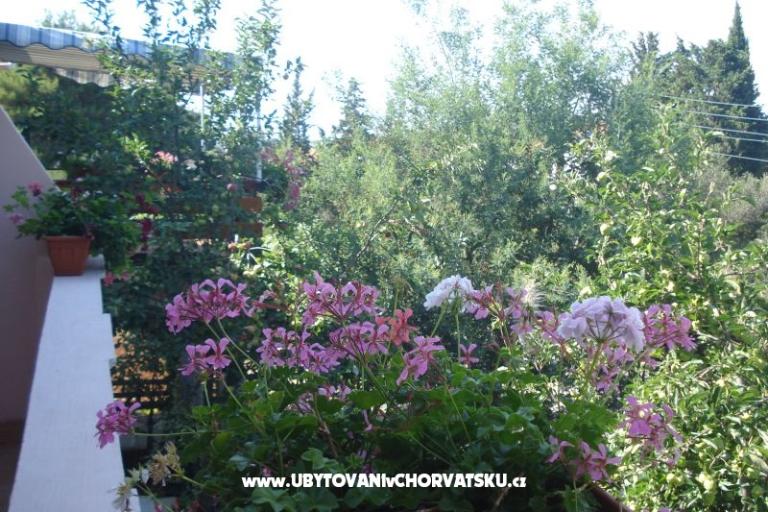 Apartamenty Branko Vidaković – foto 8