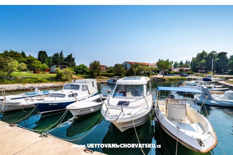 Apartamenty ENA – foto 10