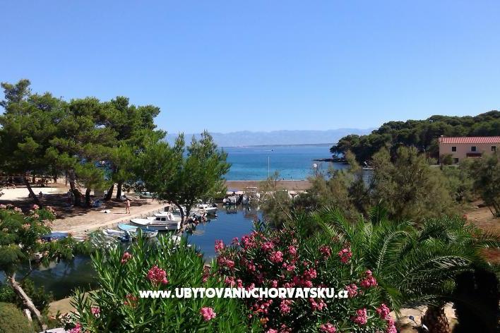 Apartamenty ENA – foto 8