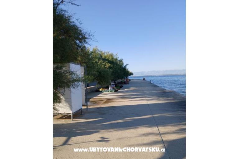 Apartamenty Galius Ugljan – foto 20