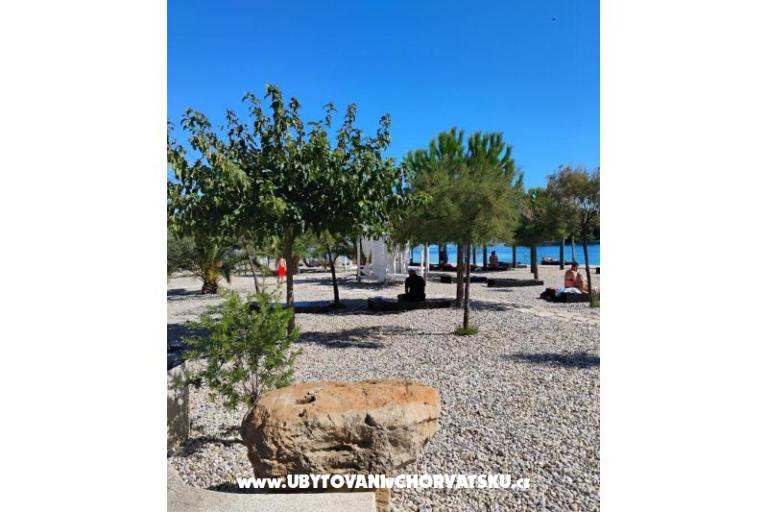 Apartamenty Rena – foto 9