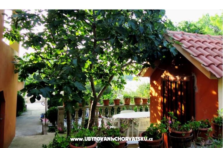 Apartamenty Tereza – foto 4