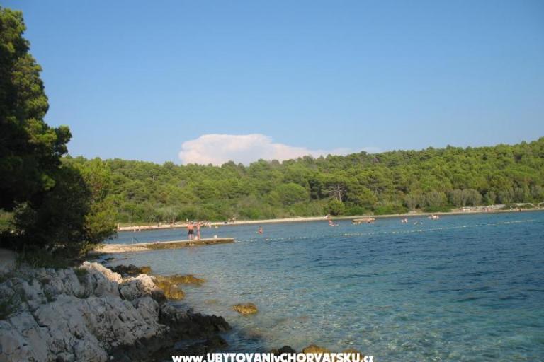 Apartamenty Tomislav – foto 8