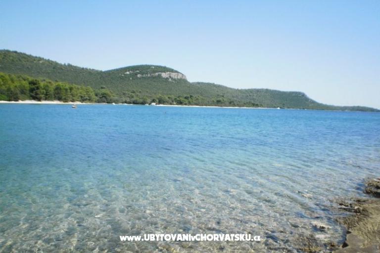 Apartamenty Lidija – foto 3