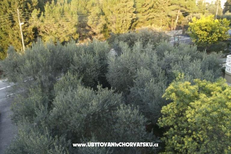 Apartamenty Mrva – foto 12
