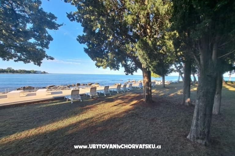Apartamenty Boris – foto 11