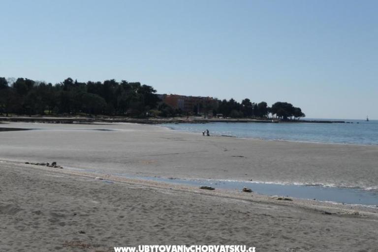 Apartamenty Maris  – foto 8