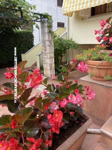 Apartamenty Maris  – foto 2