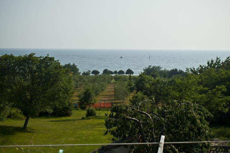 Apartamenty Paradinovic – foto 2