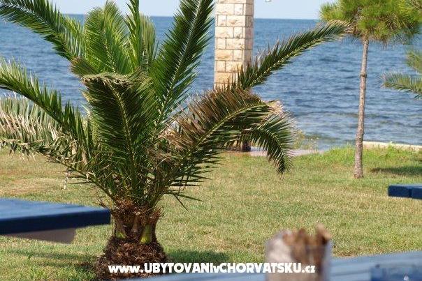 Apartamenty Nevenka – foto 11