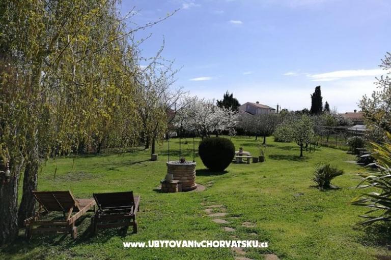 Apartamenty Jana – foto 8