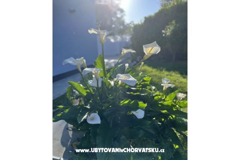 Holiday Dom Gabi – foto 18