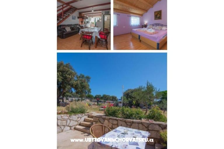 App Bonić – foto 25