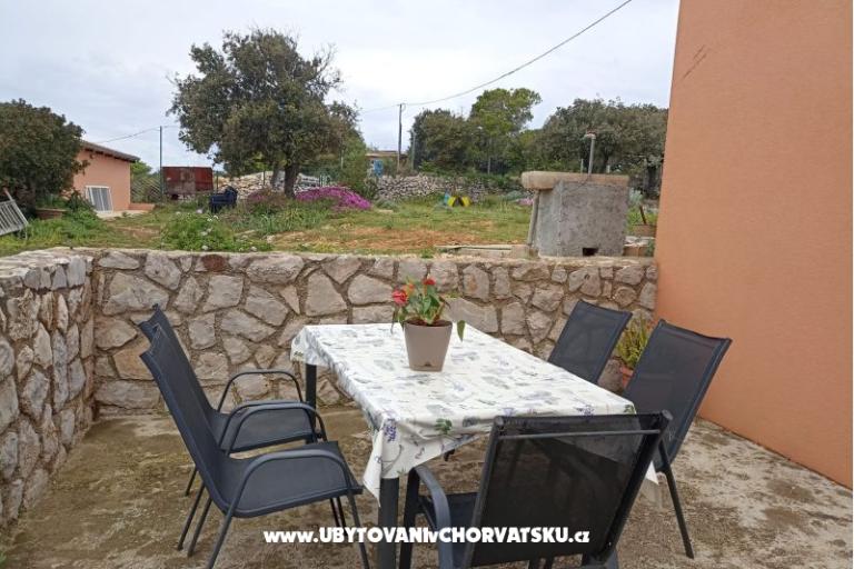 App Bonić – foto 83