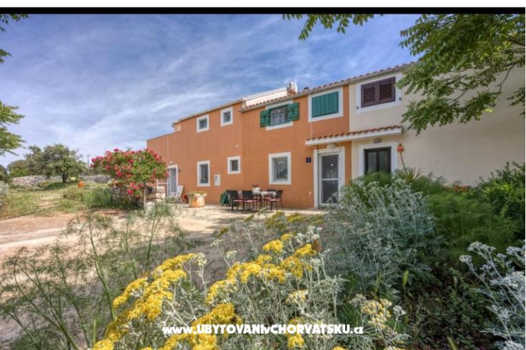 App Bonić – foto 94