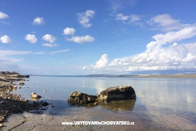 Alida apartmani Vir – foto 12