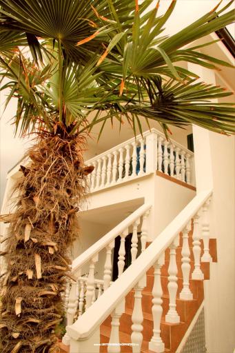Apartament Bura – foto 3