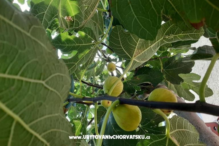 Apartamenty Alma – foto 16