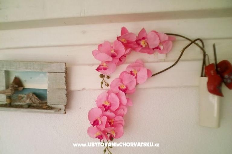 Apartamenty Alma – foto 17