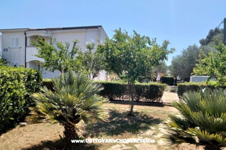 Apartamenty Budija / Viola – foto 10