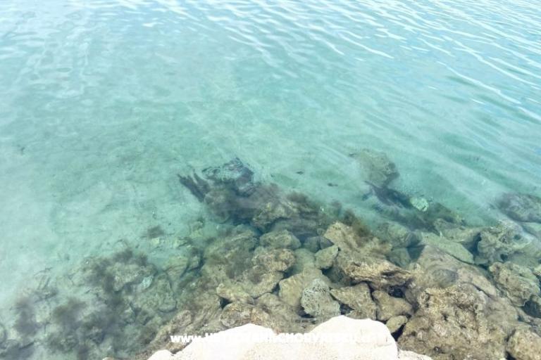 Apartamenty Budija / Viola – foto 13