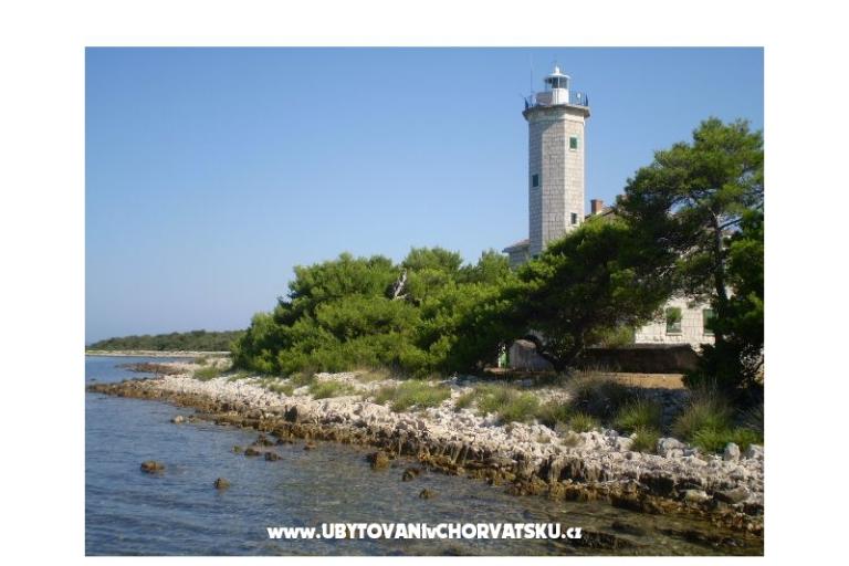 Apartamenty Budija / Viola – foto 15