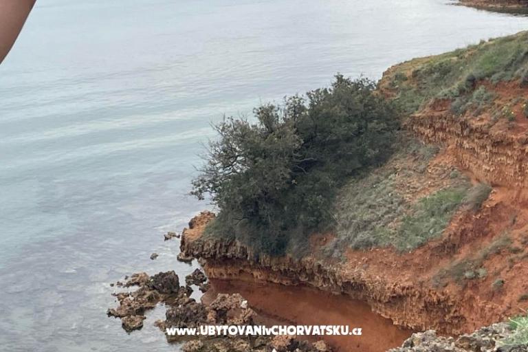 Apartamenty Budija / Viola – foto 16