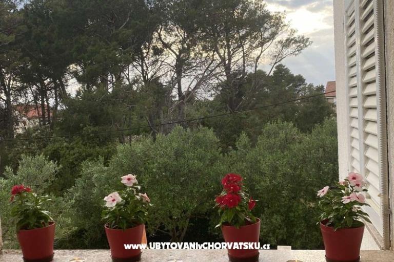 Apartamenty Budija / Viola – foto 7