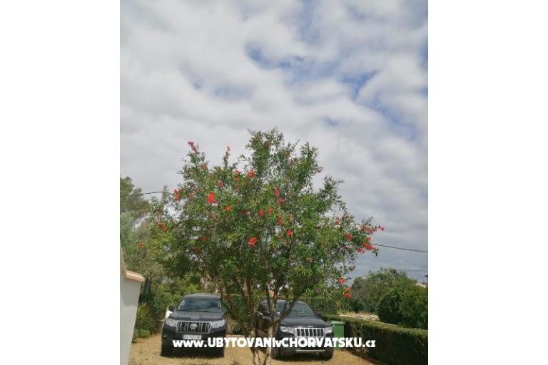 Apartamenty Budija / Viola – foto 9