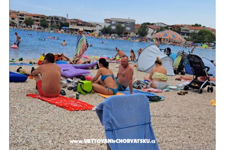 Apartamenty Dalija  Vir – foto 18