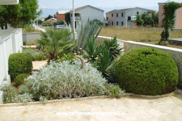 Apartamenty Fegeš – foto 11