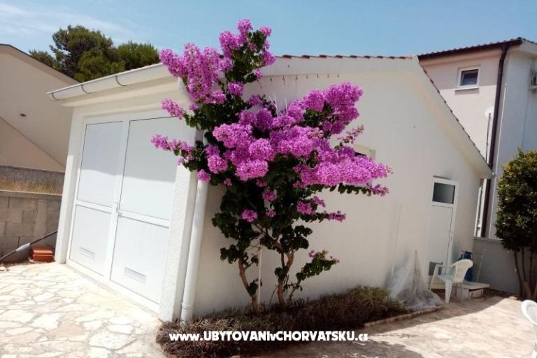 Apartamenty Fegeš – foto 4