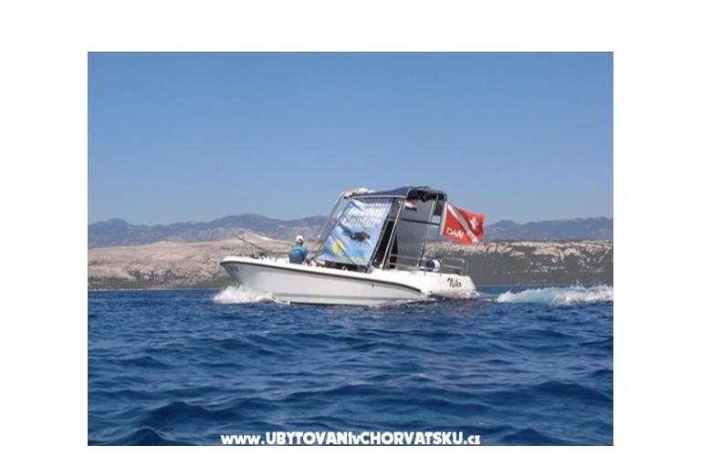 Apartamenty Kalaj – foto 11