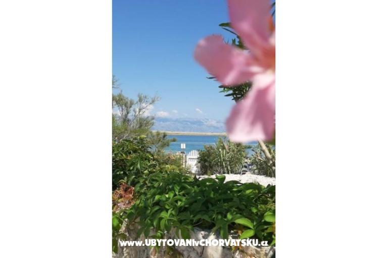 Apartamenty Knapić – foto 7