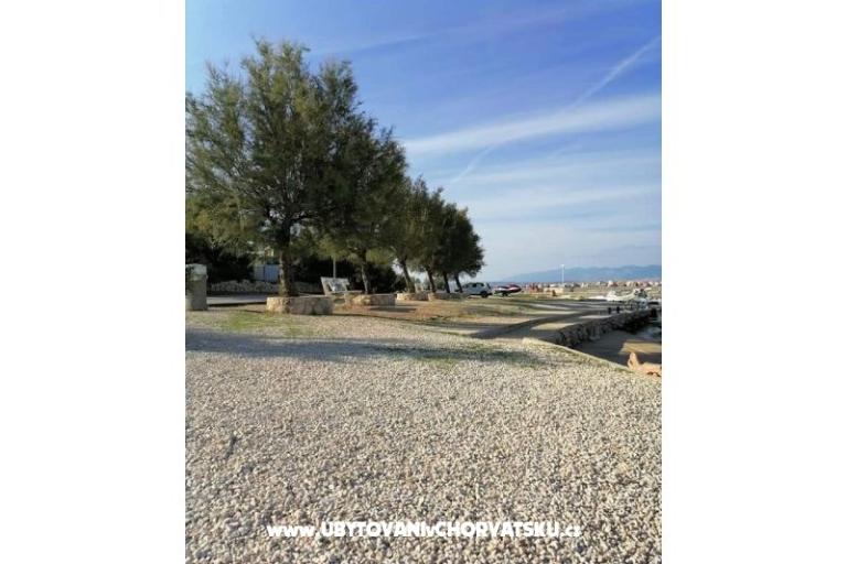 Apartamenty Kreć Lozice otok Vir – foto 13