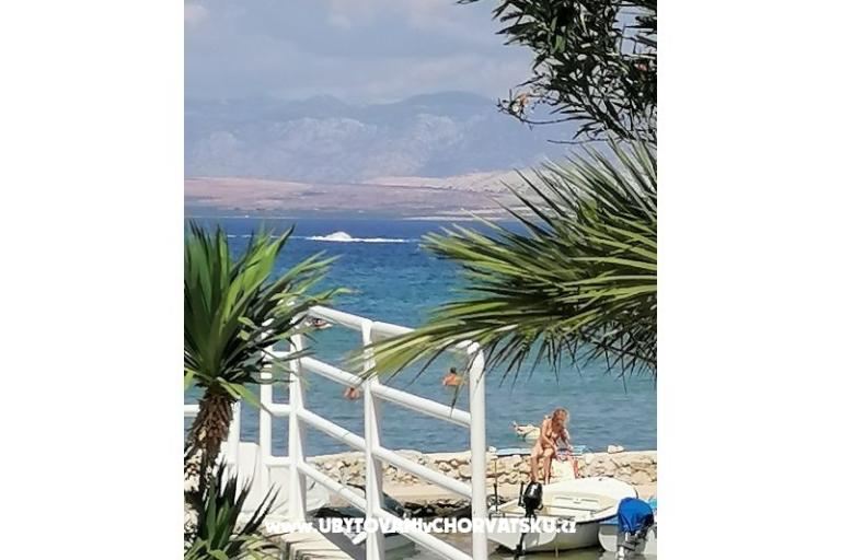 Apartamenty Kreć Lozice otok Vir – foto 17