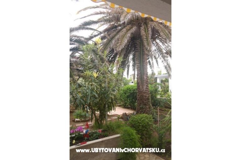 Apartamenty Milka Vir – foto 7