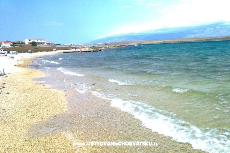 Apartamenty Nedić – foto 3