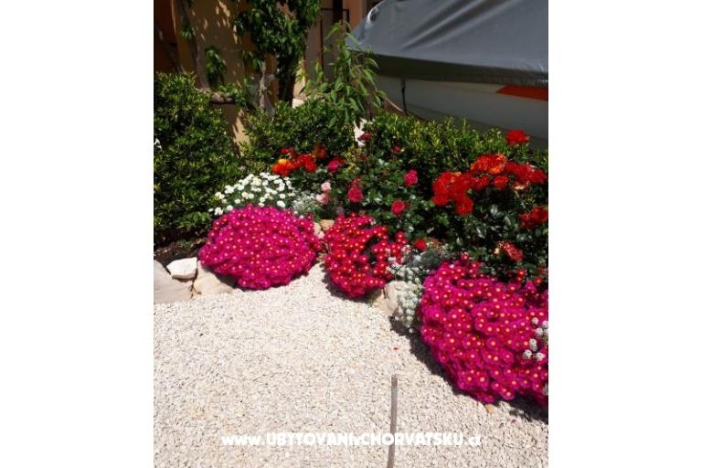 Apartamenty Štefanija – foto 14