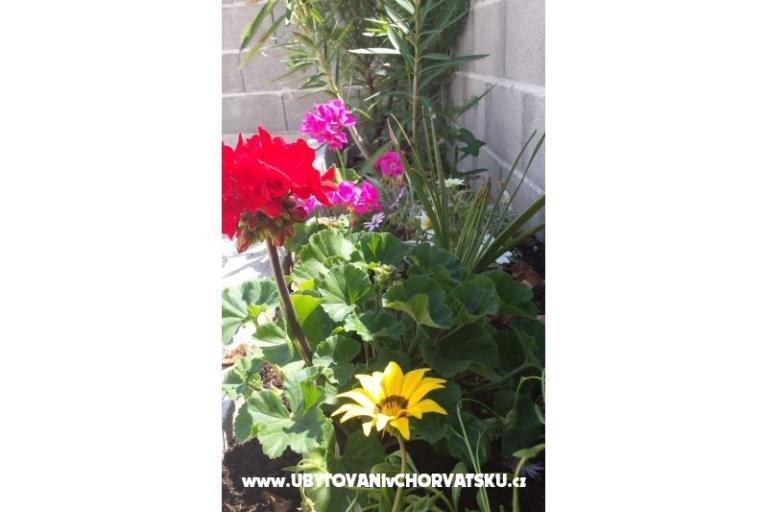 Apartamenty Maja – foto 14