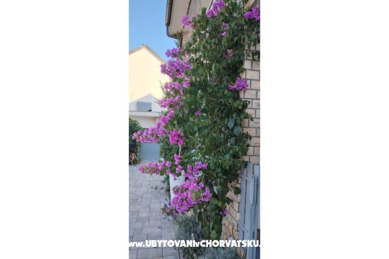 Apartamenty Sunce – foto 35
