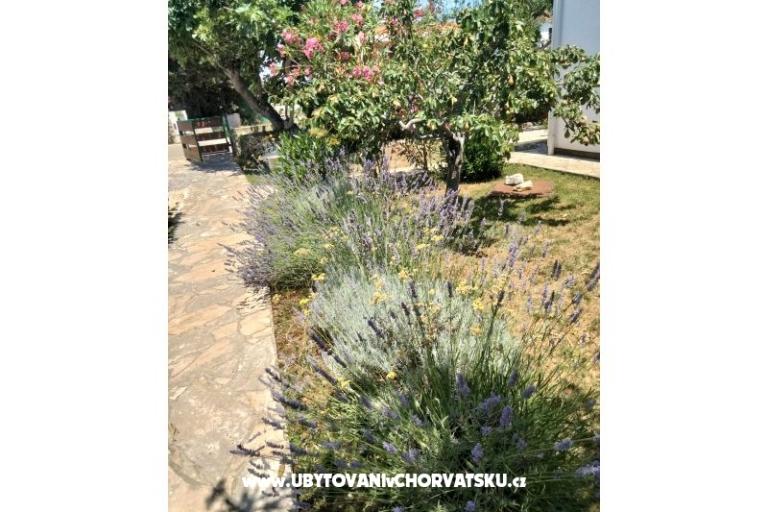 Apartamenty Budija / Lavanda – foto 4