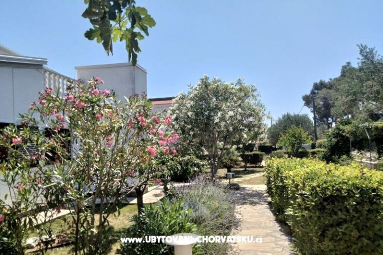 Apartamenty Budija / Lavanda – foto 6