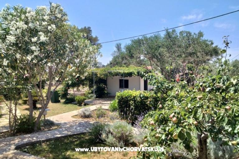 Apartamenty Budija / Lavanda – foto 7