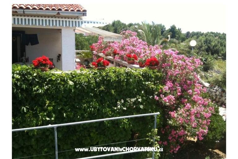 Apartament Lučica – foto 11