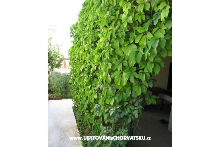 Apartament Lučica – foto 12