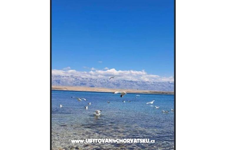 Apartamenty Ewa – foto 27