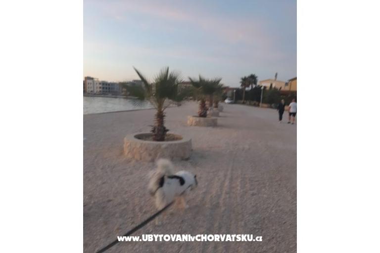 Apartamenty IVA – foto 35