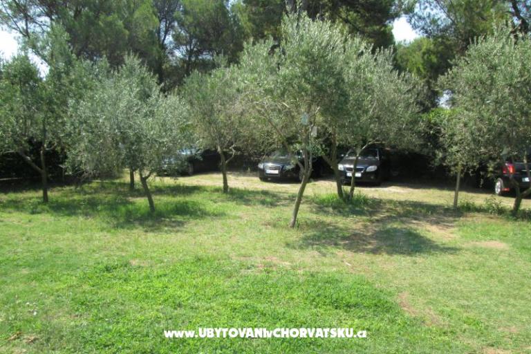 Apartamenty Pavlica – foto 8